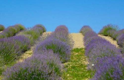 CASA OLTREPO comodo centrale ma silenzioso parcheggio interno - Foto 19