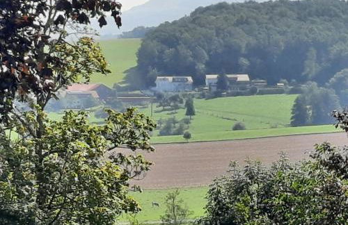 Holiday Home Renovierter Bungalow in Dörmbach by Interhome - Foto 31