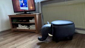 Landferienwohnung Simon - Foto 5