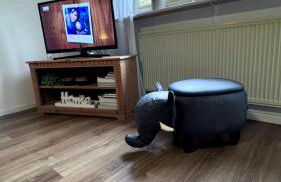 Landferienwohnung Simon - Foto 5