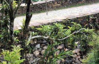 Casazul - OP - Photo 28