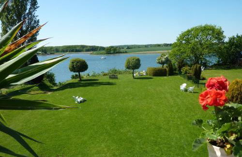 Fischreiher 1 - Foto 19