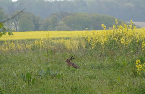 Old Hunstanton luxury by the sea - Foto 20