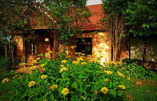 Butterfly Factory - Foto 33