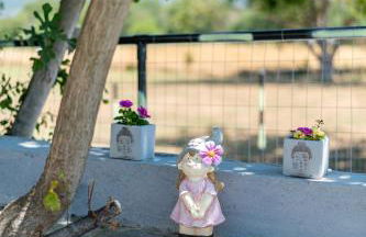 Elena's House - Photo 42