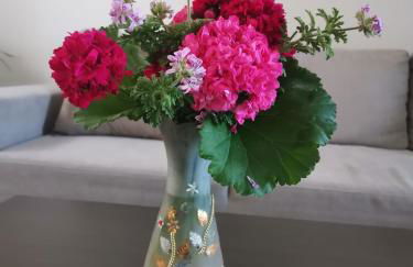 Stella Luxury Apartment Kalathos - Foto 33