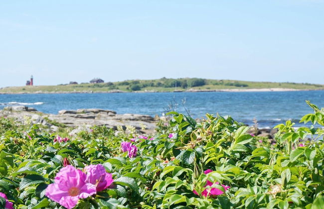 4 Person Holiday Home in Halmstad-by Traum - Foto 12