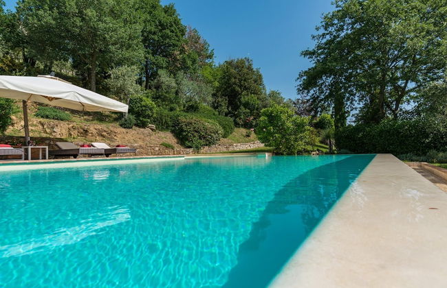 Dalmanuta 8 in Collelungo - Foto 39