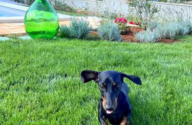 Villa Meliora - Foto 67