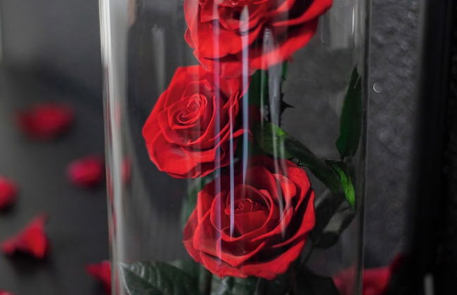 Suite jacuzzi - Foto 8