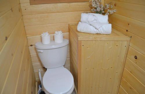 Campfire Cabin, Red River Gorge, KY, River Access & Views - Foto 29