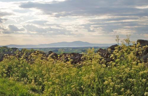 New Park Farm - Church Cottage - Foto 22