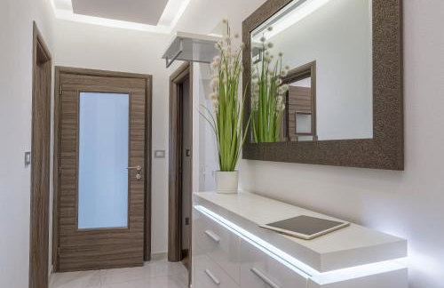 Blue Dream - Photo 6