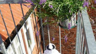 FeWo Elbdeichliebe - Foto 3