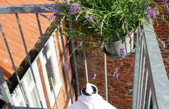 FeWo Elbdeichliebe - Photo 3