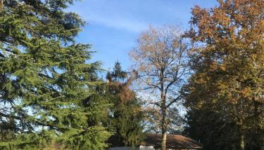 L’Etang Carp fishing lake and Gite - Foto 4, Garden