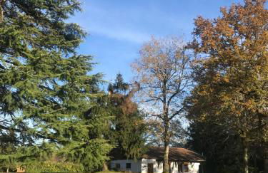 L’Etang Carp fishing lake and Gite - Foto 4