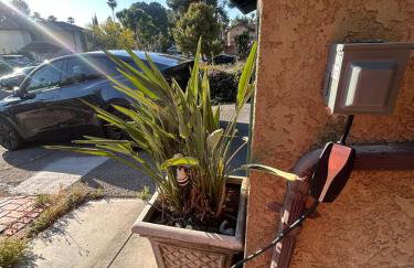 Spacious Fully Furnished 3BR Fully Fenced Home - Foto 10