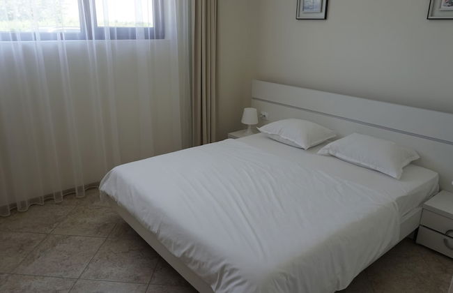 Calithea Complex - Photo 16