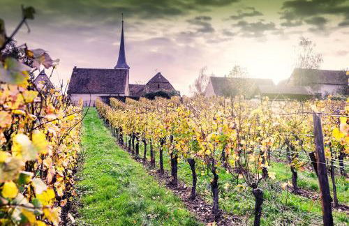 Le TRICOTIN gîte 2-4 personnes - Foto 12