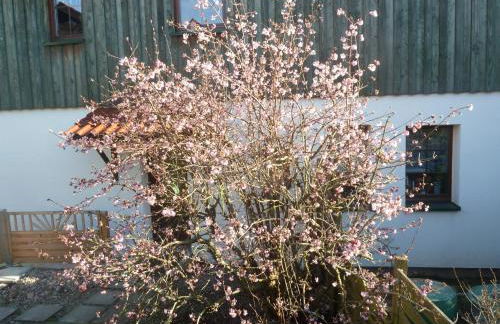 Ferienwohnung Lotti - Foto 18