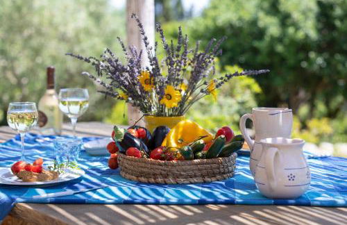 Pajara Rugiada - Foto 31