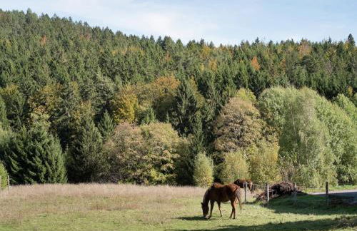 Forsthauswohnung im Schwarzwald - Foto 35