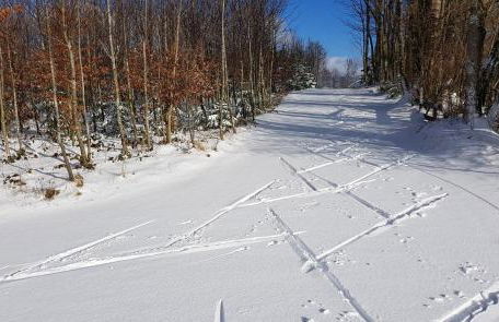 Appartement Hauzenberg-Panorama - Foto 53
