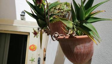 A casa di Marisa - Foto 5, Garden