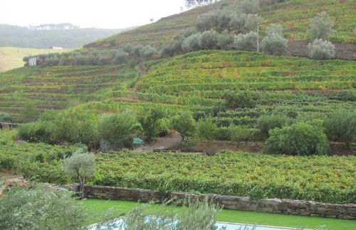 Quinta Madureira - Foto 67