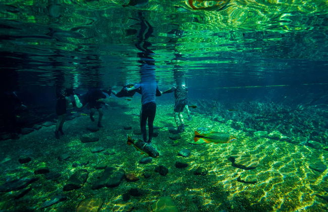 Snorkeling nei fiumi Prata e Olho d'Água - Photo 6