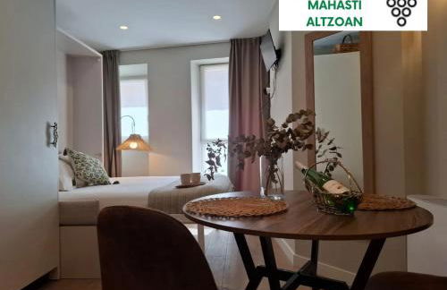 Apartamentos Boutique ALTZOAN & Parking FREE - Foto 28