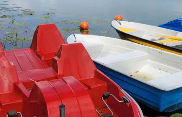 Dom pod brzozą-urowo - Foto 38