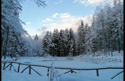 Appartamento La Foresta Abetone - Foto 36