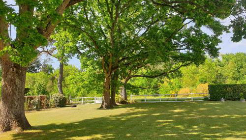 LES DRYADES MILLY - Photo 5, Garden