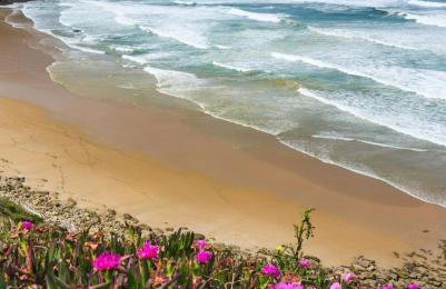 La Casita de Suances 2 Ideal Familias y Mascotas - Foto 55