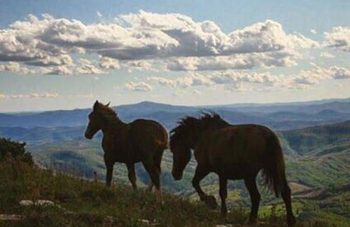 Villa Costa piccola with private pool in Umbria - Foto 44