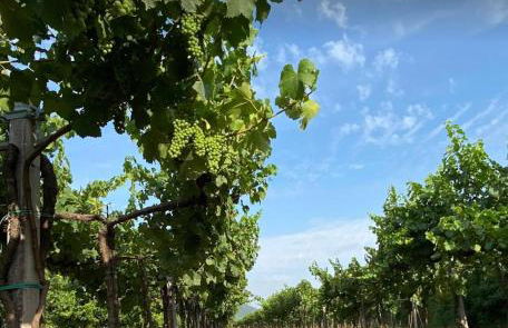 Villa Mattei Franciacorta - Foto 20