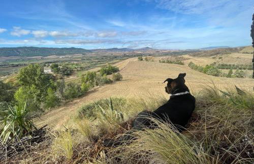 Agriturismo PETRA LUCANA - Photo 46
