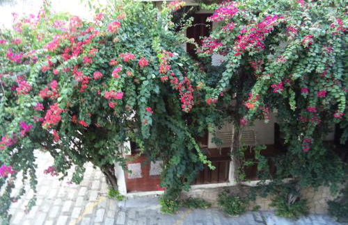 Chalés Xibayka Ilhabela - Foto 38