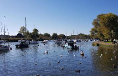 The Cedarwoods - luxury for up to 5 and your woof! - Photo 46