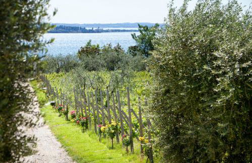 Agrigturismo Monte Cicogna - Foto 29