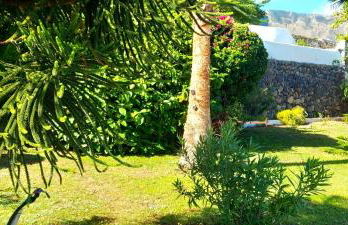 Finca las Mariposas - Foto 21