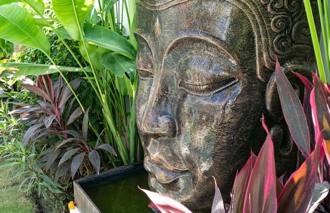 Villa Palikua - Foto 65