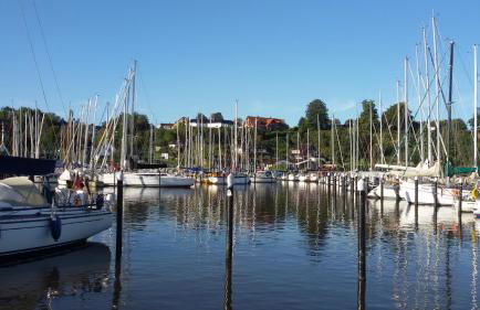 FEWO Muschel - Foto 31