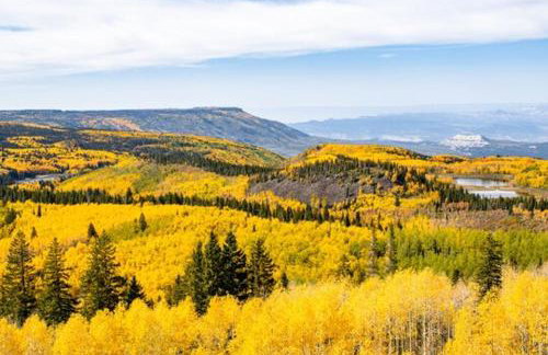 Timeless Mesa Hideaway cabin - Foto 46