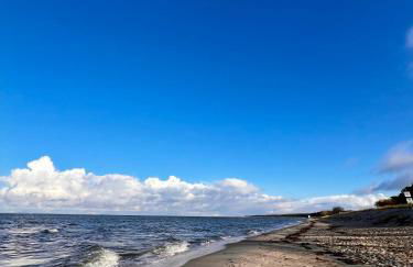 Lobster im Nauticum - Foto 23