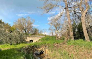 Country house in Maremma Villa Mafalda - Foto 37