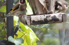 La Maison sous l'olivier - Foto 28