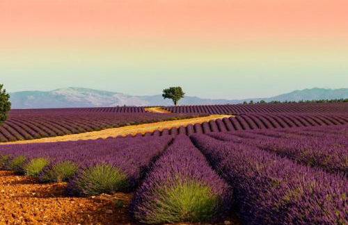 Appartement face au lac - Foto 8